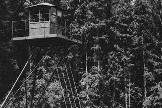 Prožil jsem sametovou revoluci jako pohraničník. S trikolorou na uniformě - Médium.cz